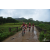 Team 46 / Raid Amazones Vietnam 2019 - J2 Bike and Run