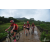 Team 46 / Raid Amazones Vietnam 2019 - J2 Bike and Run