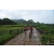 Team 11 / Raid Amazones Vietnam 2019 - J2 Bike and Run
