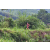 Team 06 / Raid Amazones Vietnam 2019 - J2 Bike and Run