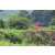 Team 106 / Raid Amazones Vietnam 2019 - J2 Bike and Run
