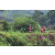 Team 45 / Raid Amazones Vietnam 2019 - J2 Bike and Run