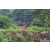 Team 53 / Raid Amazones Vietnam 2019 - J2 Bike and Run