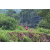 Team 53 / Raid Amazones Vietnam 2019 - J2 Bike and Run