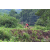 Team 50 / Raid Amazones Vietnam 2019 - J2 Bike and Run
