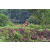 Team 123 / Raid Amazones Vietnam 2019 - J2 Bike and Run