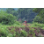 Team 62 / Raid Amazones Vietnam 2019 - J2 Bike and Run