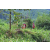 Team 62 / Raid Amazones Vietnam 2019 - J2 Bike and Run