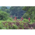 Team 132 / Raid Amazones Vietnam 2019 - J2 Bike and Run