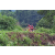 Team 18 / Raid Amazones Vietnam 2019 - J2 Bike and Run