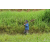 Raid Amazones Vietnam 2019 - J2 Bike and Run