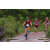 Team 133 / Raid Amazones Vietnam 2019 - J2 Bike and Run