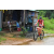Team 107 / Raid Amazones Vietnam 2019 - J2 Bike and Run