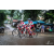 Team 108 / Raid Amazones Vietnam 2019 - J2 Bike and Run