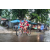 Team 84 / Raid Amazones Vietnam 2019 - J2 Bike and Run