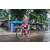 Team 138 / Raid Amazones Vietnam 2019 - J2 Bike and Run