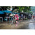 Team 46 / Raid Amazones Vietnam 2019 - J2 Bike and Run