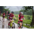 Team 46 / Raid Amazones Vietnam 2019 - J2 Bike and Run