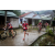 Team 116 / Raid Amazones Vietnam 2019 - J2 Bike and Run