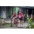 Team 29 / Raid Amazones Vietnam 2019 - J2 Bike and Run
