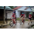 Team 38 / Raid Amazones Vietnam 2019 - J2 Bike and Run
