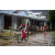Team 110 / Raid Amazones Vietnam 2019 - J2 Bike and Run