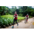Team 93 / Raid Amazones Vietnam 2019 - J2 Bike and Run