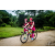 Team 81 / Raid Amazones Vietnam 2019 - J2 Bike and Run