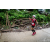 Team 87 / Raid Amazones Vietnam 2019 - J2 Bike and Run