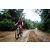 Team 04 / Raid Amazones Vietnam 2019 - J2 Bike and Run