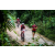 Team 120 / Raid Amazones Vietnam 2019 - J2 Bike and Run