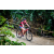 Team 34 / Raid Amazones Vietnam 2019 - J2 Bike and Run
