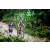 Team 63 / Raid Amazones Vietnam 2019 - J2 Bike and Run