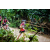 Team 127 / Raid Amazones Vietnam 2019 - J2 Bike and Run