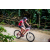 Team 30 / Raid Amazones Vietnam 2019 - J2 Bike and Run