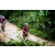 Team 90 / Raid Amazones Vietnam 2019 - J2 Bike and Run