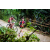 Team 177 / Raid Amazones Vietnam 2019 - J2 Bike and Run