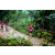 Team 115 / Raid Amazones Vietnam 2019 - J2 Bike and Run