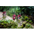 Team 113 / Raid Amazones Vietnam 2019 - J2 Bike and Run