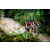 Team 115 / Raid Amazones Vietnam 2019 - J2 Bike and Run