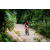 Team 115 / Raid Amazones Vietnam 2019 - J2 Bike and Run