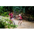 Team 70 / Raid Amazones Vietnam 2019 - J2 Bike and Run