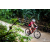 Team 133 / Raid Amazones Vietnam 2019 - J2 Bike and Run