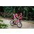 Team 74 / Raid Amazones Vietnam 2019 - J2 Bike and Run