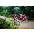 Team 138 / Raid Amazones Vietnam 2019 - J2 Bike and Run
