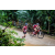 Team 92 / Raid Amazones Vietnam 2019 - J2 Bike and Run