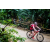 Team 92 / Raid Amazones Vietnam 2019 - J2 Bike and Run