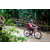 Team 118 / Raid Amazones Vietnam 2019 - J2 Bike and Run