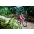 Team 84 / Raid Amazones Vietnam 2019 - J2 Bike and Run