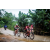 Team 111 / Raid Amazones Vietnam 2019 - J2 Bike and Run